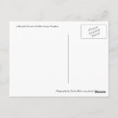 カボチャ収穫 ポストカード (裏面)