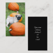 カボチャ名刺のパグの子犬 名刺 (正面/裏面)