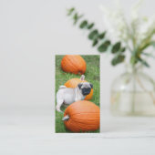 カボチャ名刺のパグの子犬 名刺 (スタンド正面)