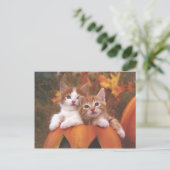 カボチャ大切猫 – カスタマイズ可能なカード ポストカード (スタンド正面)