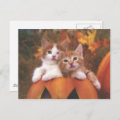 カボチャ大切猫 – カスタマイズ可能なカード ポストカード (正面/裏面)