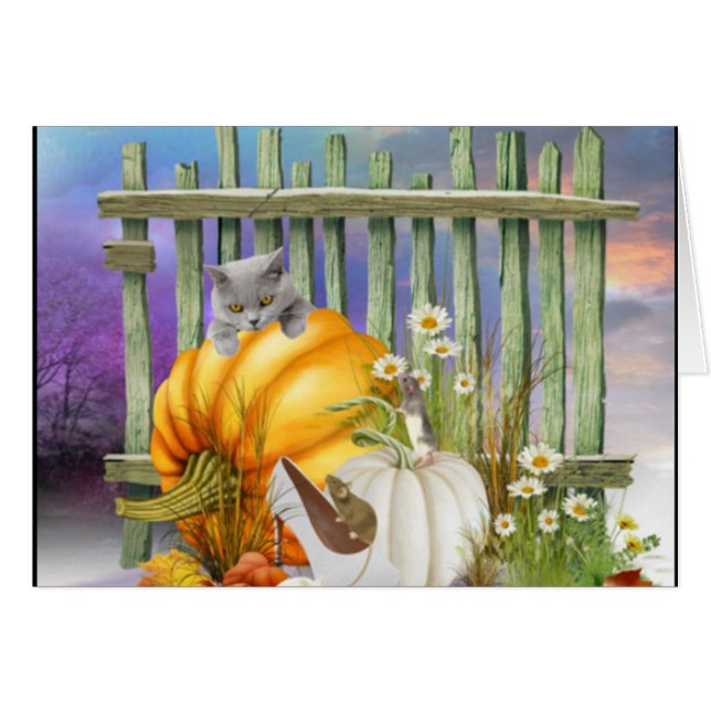 カボチャ失ったパッチの白い靴 (正面横)