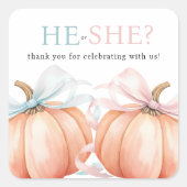 カボチャ弓ピンクブルージェンダーリビール スクエアシール (正面)