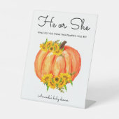 カボチャ彼または彼女が性別を明かす 台座サイン (正面)