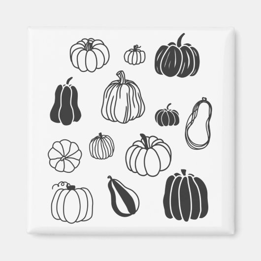 カボチャ植物学 マグネット (正面)