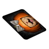 カボチャ毛の猫 マグネット (右側)