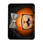 カボチャ毛の猫 マグネット (縦)