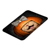 カボチャ毛の猫 マグネット (左側)