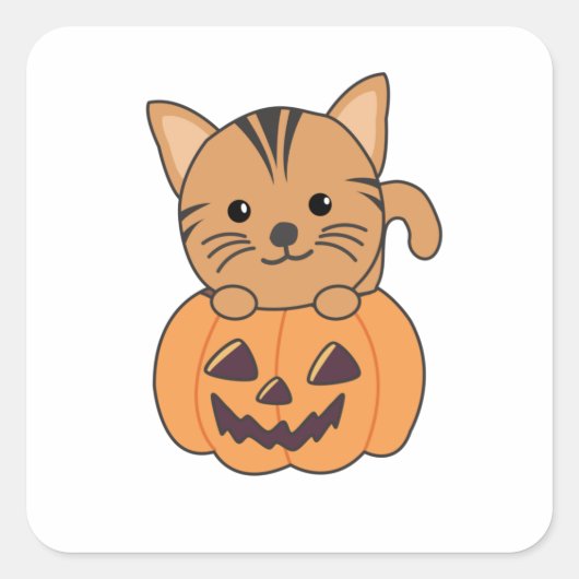 カボチャ猫ハロウィーンの猫 スクエアシール (正面)