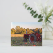 カボチャ畑のトラクター ポストカード (スタンド正面)