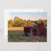 カボチャ畑のトラクター ポストカード (正面/裏面)