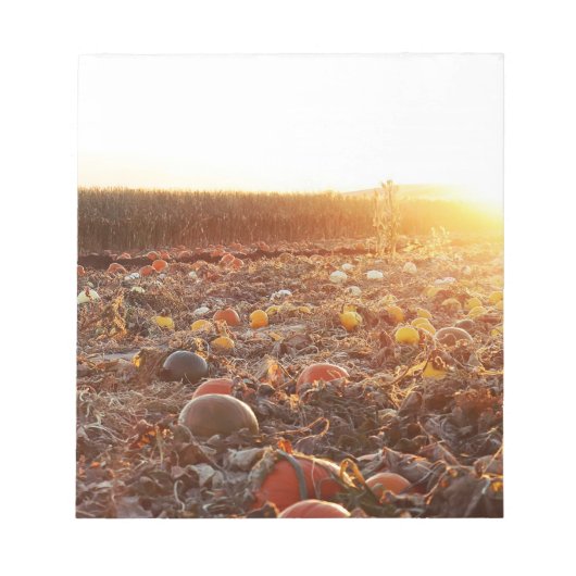 カボチャ畑の夕焼けC ノートパッド (正面)