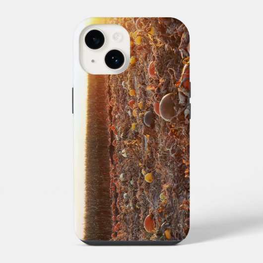 カボチャ畑の夕焼けC iPhoneケース (裏面)