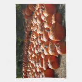 カボチャ畑の秋の収穫写真 キッチンタオル (縦)