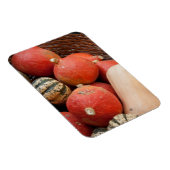 カボチャ磁石のバスケット マグネット (右側)