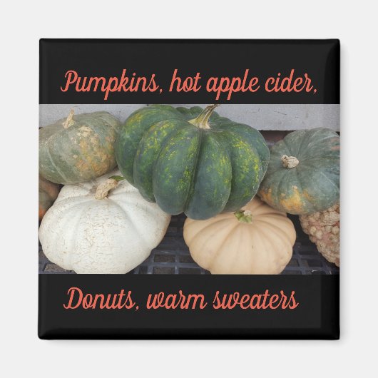 カボチャ磁石 マグネット (正面)