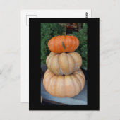 カボチャ秋はがき ポストカード (正面/裏面)