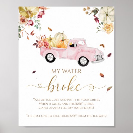 カボチャ秋ベビーシャワー私の水がゲームサインを壊した ポスター (正面)