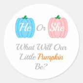 カボチャ秋性別表示 ラウンドシール (正面)