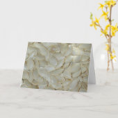 カボチャ種子カード カード (黄色い花)