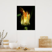 カボチャ花バリューポスター紙 ポスター (キッチン)