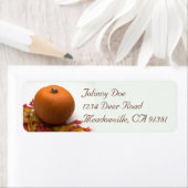 カボチャ葉とラベル ラベル (インサイチュ)