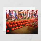 カボチャ葉書 ポストカード (正面/裏面)