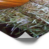 カボチャ表示プリント ポスター (角)