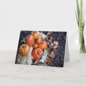 カボチャ表示挨拶状 シーズンカード (正面)