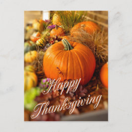 カボチャ表示 ポストカード