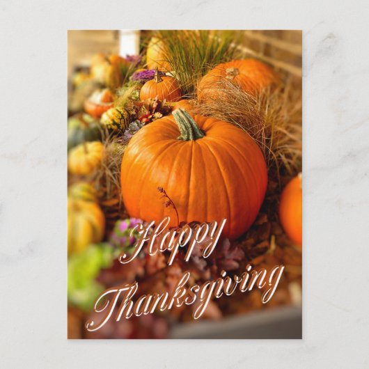 カボチャ表示 ポストカード (正面)