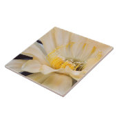 カボチャ開花 タイル (側面)