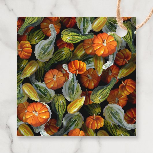 カボチャ、カボチャ秋の収穫ギフトラベル フェイバータグ (裏面)