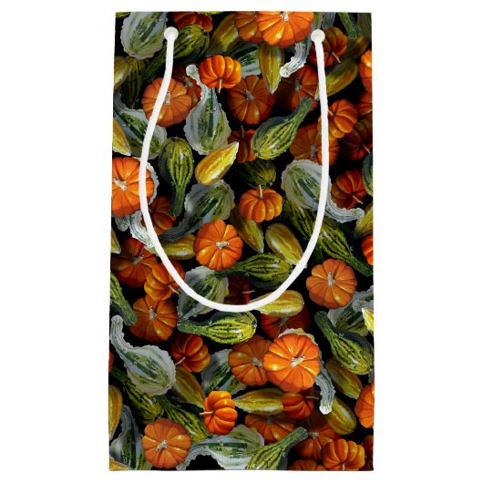 カボチャ、カボチャ秋の収穫抱き枕 スモールペーパーバッグ (正面)