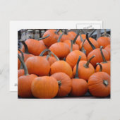カボチャ、カボチャ、その他のカボチャ、秋 ポストカード (正面/裏面)
