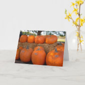 カボチャ カード (黄色い花)