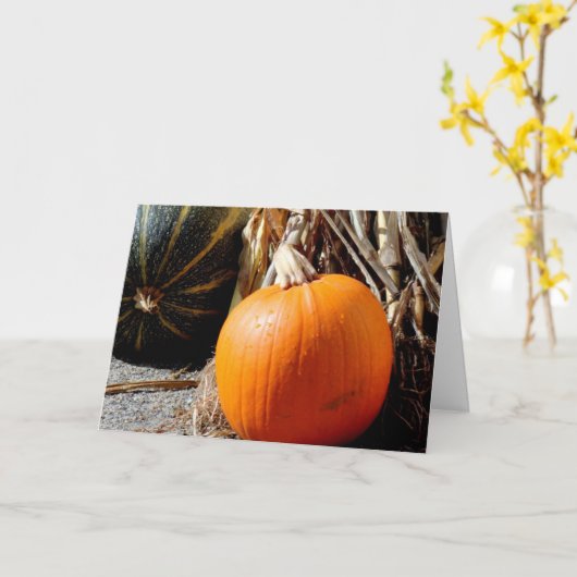 カボチャ カード (黄色い花)