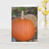 カボチャ カード (黄色い花)