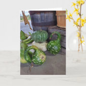 カボチャ カード (黄色い花)