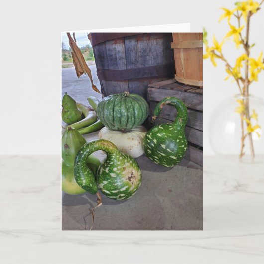 カボチャ カード (黄色い花)