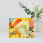 カボチャ&グルズキッチンレシピ ポストカード (スタンド正面)