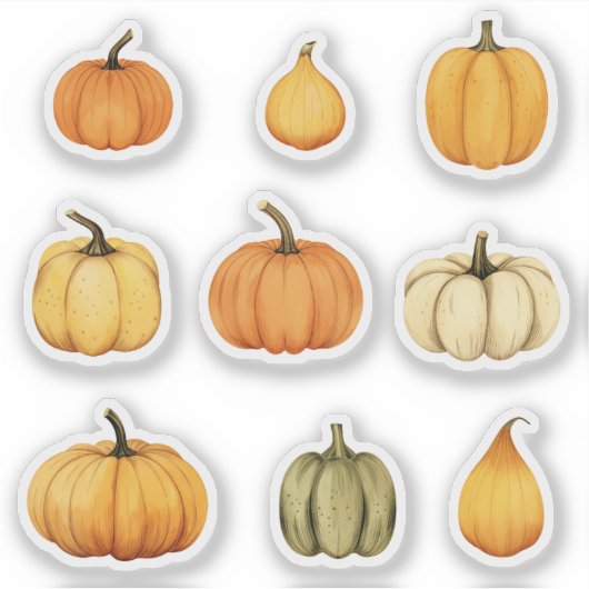 カボチャ シール (正面)