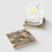 カボチャ ストーンコースター (横)