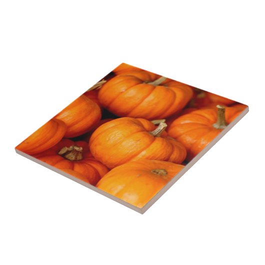 カボチャ タイル (側面)