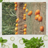 カボチャ、トウモロコシ、干し草の秋の収穫写真 キッチンタオル (折り畳み)