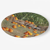 カボチャ、トウモロコシ、干し草の秋の収穫写真 ペーパープレート (アングル)