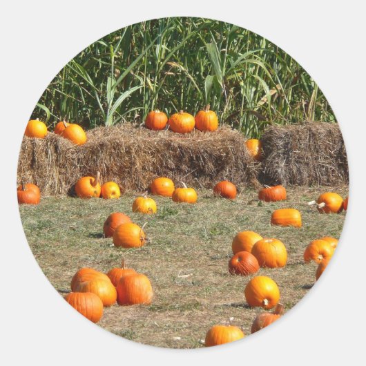 カボチャ、トウモロコシ、干し草の秋の収穫写真 ラウンドシール (正面)