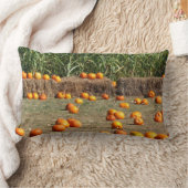 カボチャ、トウモロコシ、干し草の秋の収穫写真 ランバークッション (ブランケット)