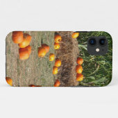 カボチャ、トウモロコシ、干し草の秋の収穫写真 Case-Mate iPhoneケース (裏面(横))