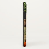 カボチャ、トウモロコシ、干し草の秋の収穫写真 Case-Mate iPhoneケース (裏面/右)